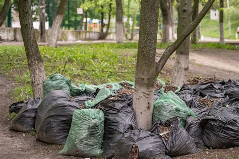 waste disposal st.kilda|Rubbish Removal St Kilda .